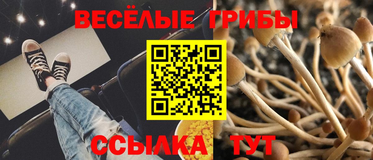 Псилоцибиновые грибы GOLDEN TEACHER  Вход с VPN  Спасск-Дальний 