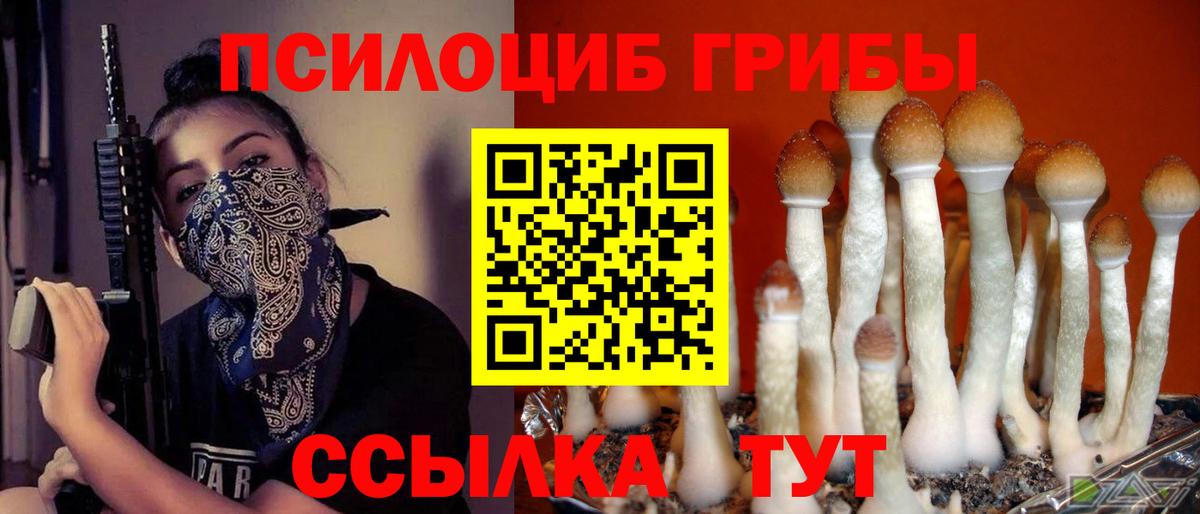 Бошки Шишки  ГАШИШ  COCAIN  Спасск-Дальний  Вход с VPN  Меф МЯУ МЯУ   НБОМе 